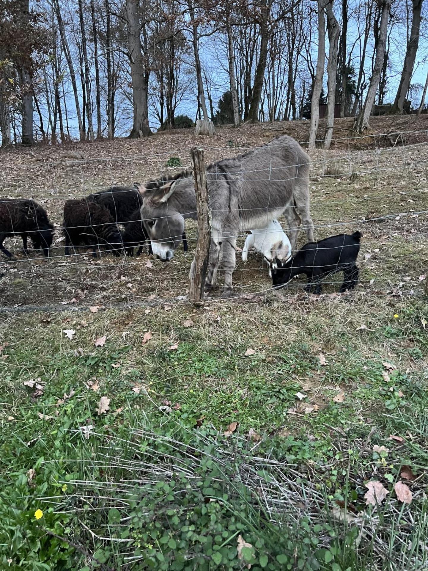 Willa Gite 4/6 Personnes La Melodie Du Bonheur Habas Zewnętrze zdjęcie